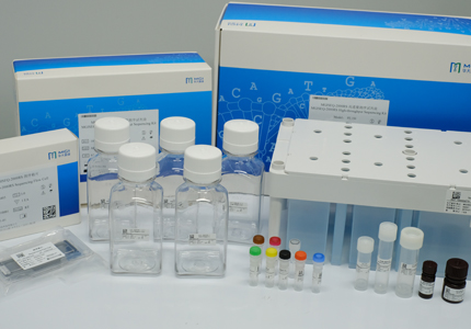 Longer read length, wider application - MGISEQ-2000RS high-throughput sequencing reagent kit now available (SE400)
