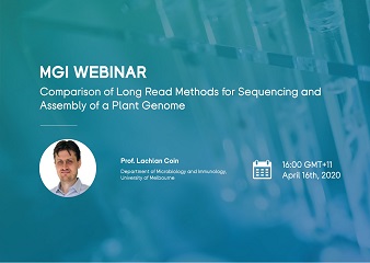 Comparison of long read methods for sequencing and assembly of a plant genome