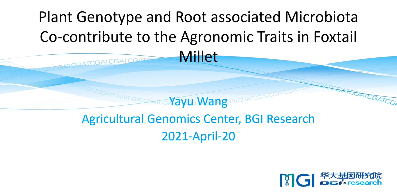 Plant Genotype and Root-Associated Microbiota Co-contribute to the Agronomic Traits in Foxtail Millet