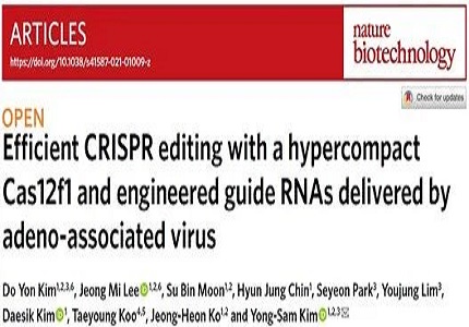  MGI's DNBSEQ-T7* Supports the Upgrading of CRISPR Gene Editing System