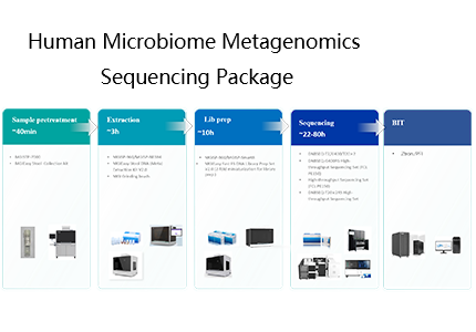 MGI Tech Launches Human Microbiome Metagenomics Sequencing Package, Unveiling the Mysteries of the Human Microbiome