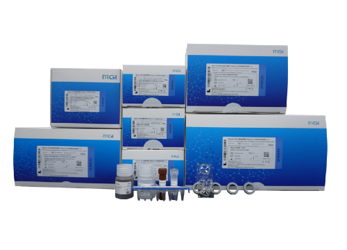 DNBelab C Series High-throughput Single-cell 5' RNA & V(D)J Library Preparation Set